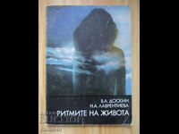 Ritmurile vieții - Doskin