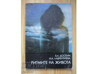 The Rhythms of Life - Doskin