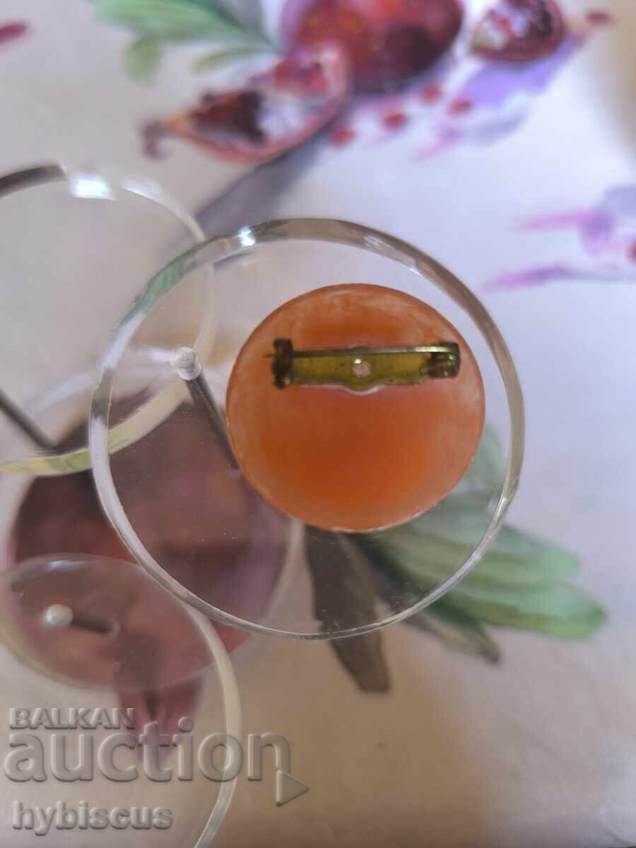 Стара вносна брошка камея с цена 25.00 лв. | € 12.78