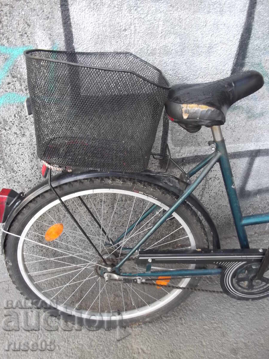 "RAGAZZI - Liner" Bicycle with Three Integrated Gears and a Coaster Brake - 5 "RAGAZZI - Liner" Bicycle with Three Integrated Gears and a Coaster Brake - 5