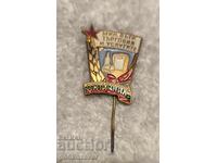 Ecuson social MINISTERUL COMERȚULUI INTERN EXCELENT Rar