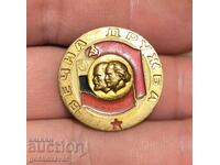 Social, Insigna prietenie veșnică