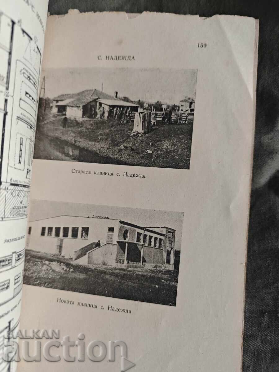 Auction  Supervision of food products of animal origin