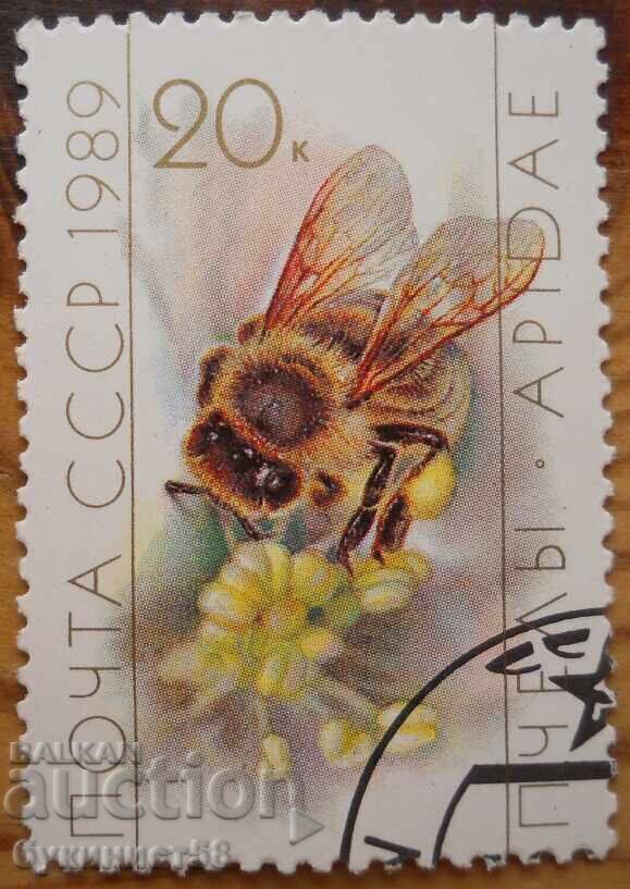 Σ.Σ.Σ.Ρ. "Πcheli" - 1989 g Σ.Σ.Σ.Ρ. "Πcheli" - 1989 g