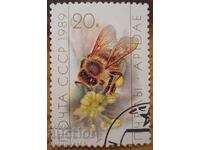 Σ.Σ.Σ.Ρ. "Πcheli" - 1989 g