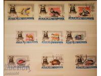 DUBAI AIR MAIL ANIMALS