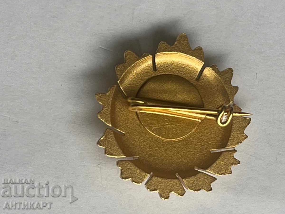 Μινιατούρα για παράσημο Λαϊκής Δημοκρατίας της Βουλγαρίας I βαθμού, παραλλαγή 1 με τιμή 12.00 BGN | € 6.14