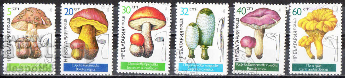 1987. Bulgaria. Edible mushrooms. 1987. Bulgaria. Edible mushrooms.