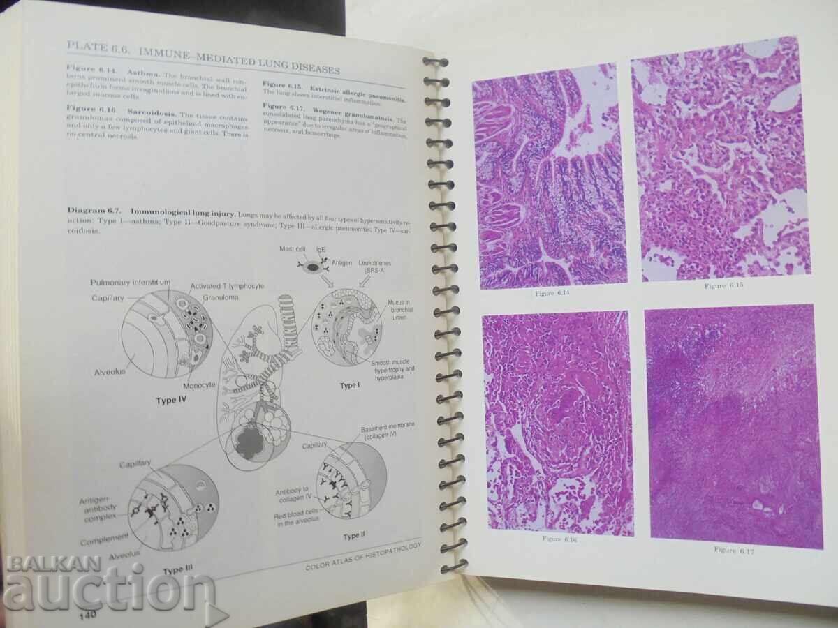 Ιστοπαθολογία Ένας Έγχρωμος Άτλας και Εγχειρίδιο Ivan Damjanov 1996 με τιμή 80.00 BGN | € 40.90 Ιστοπαθολογία Ένας Έγχρωμος Άτλας και Εγχειρίδιο Ivan Damjanov 1996 με τιμή 80.00 BGN | € 40.90