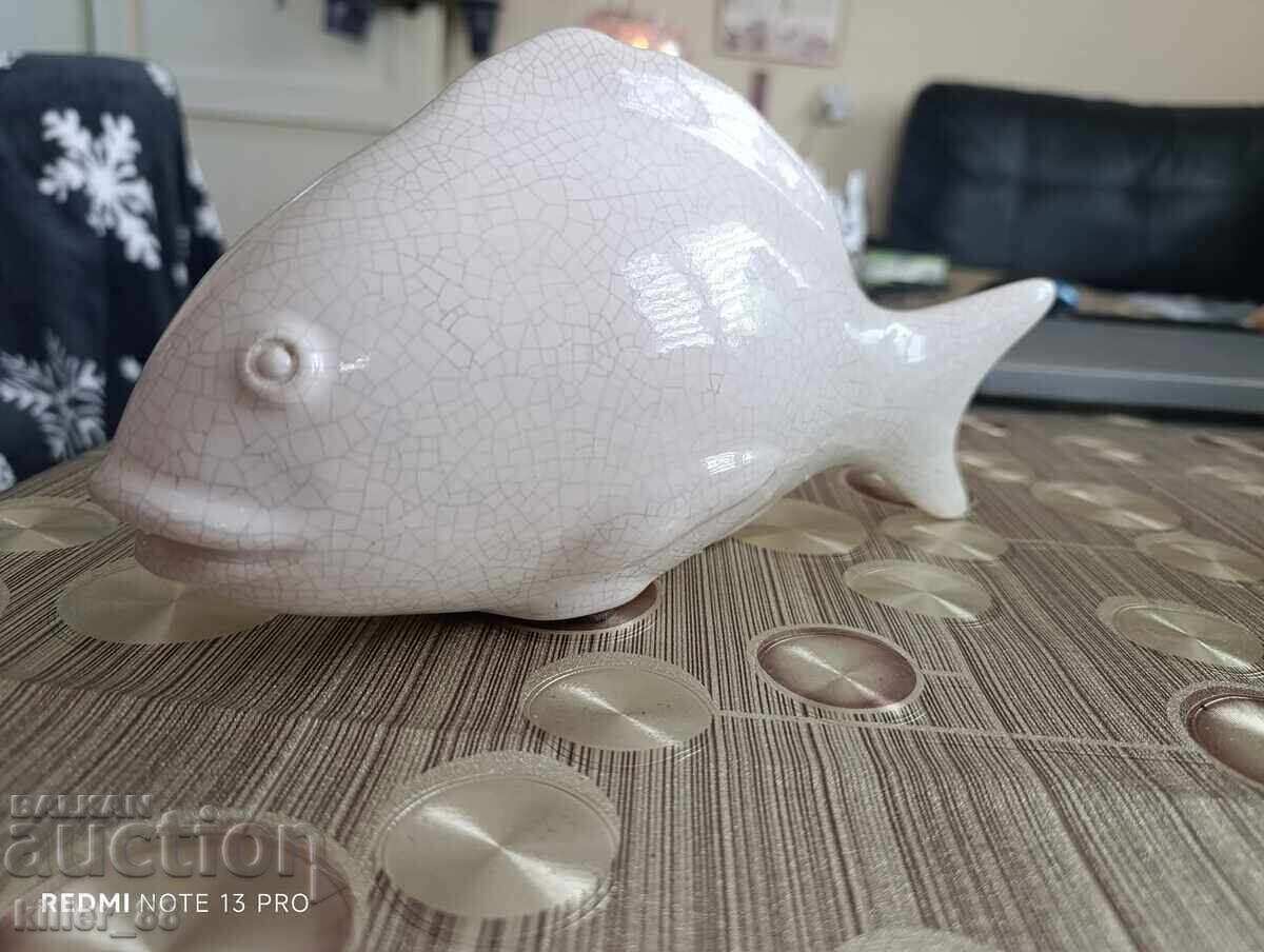 Порцеланова риба Порцеланова риба