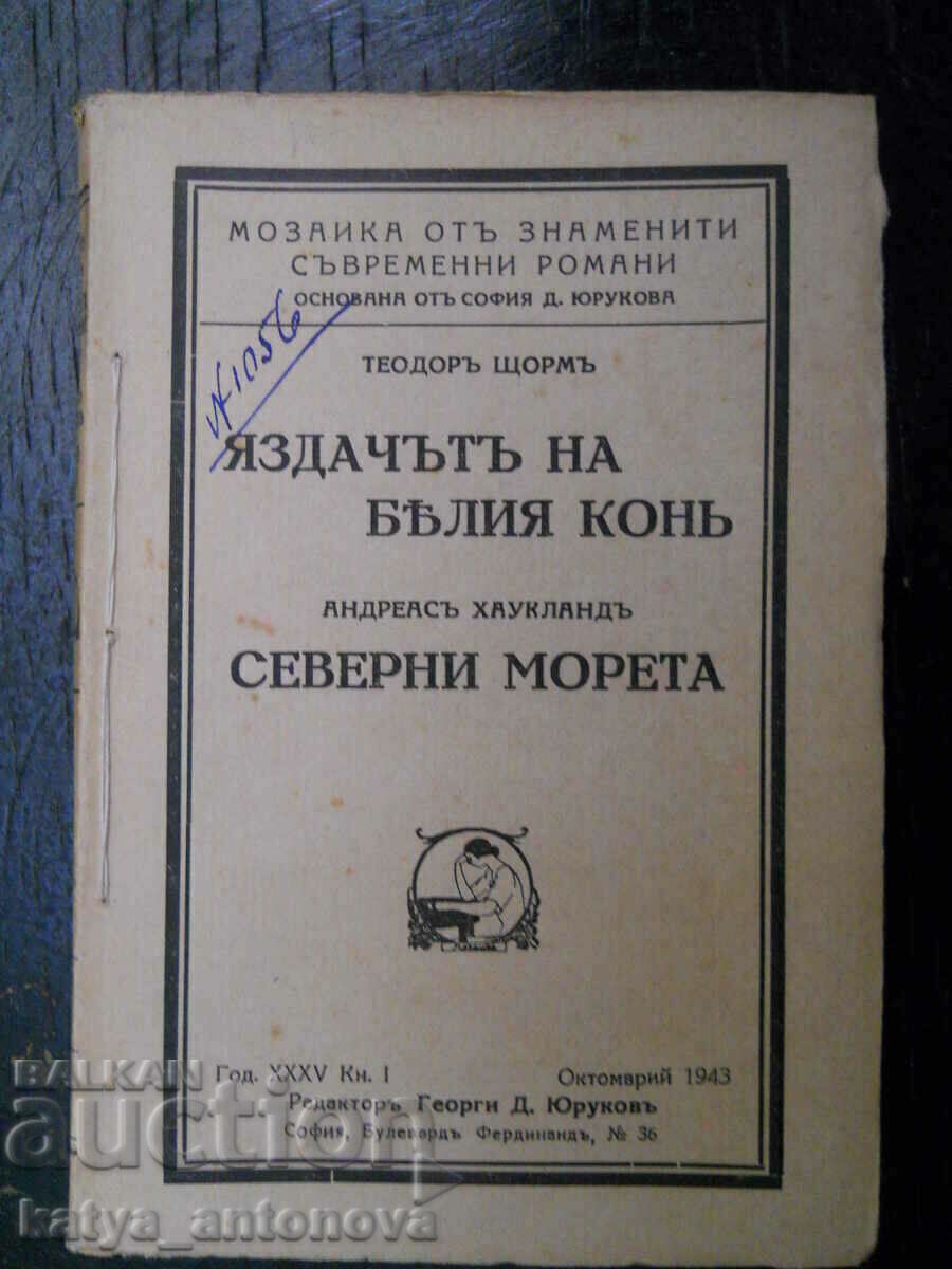 Theodore Storm "The Rider of the White Horse" Theodore Storm "The Rider of the White Horse"