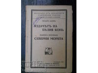 Theodore Storm "The Rider of the White Horse"