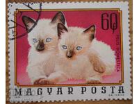 Унгария "Котки" - 1974 г