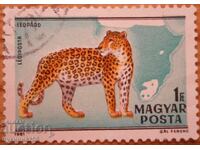 Ουγγαρία "Άγρια Ζώα της Αφρικής" - 1981