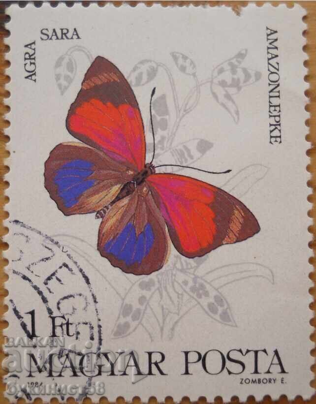 Ungaria "Fluturi" - 1984