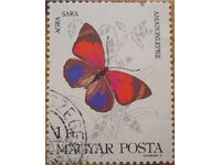 Ungaria "Fluturi" - 1984