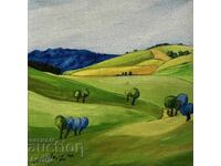 Pictures of the rural landscape of the village of Stolat