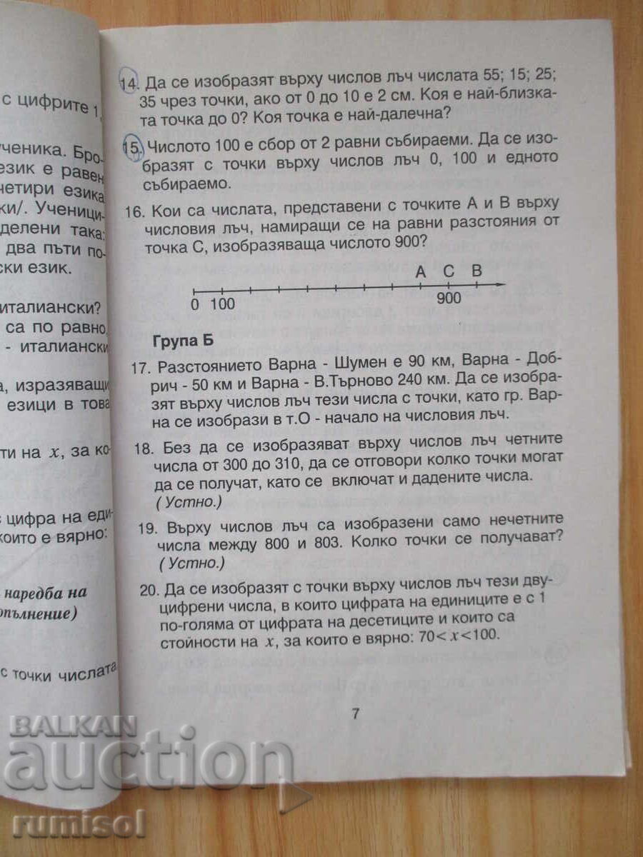 Аукцион 444 задачи по математика - 4 клас, Веселина Савова
