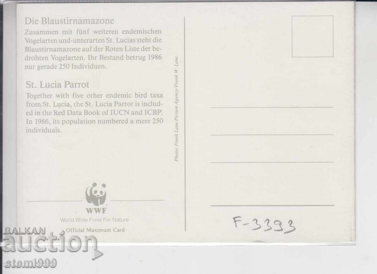 Carte poștală maximă PĂSĂRI PAPAGALI WWF cu preț 1.50 BGN | € 0.77 Carte poștală maximă PĂSĂRI PAPAGALI WWF cu preț 1.50 BGN | € 0.77