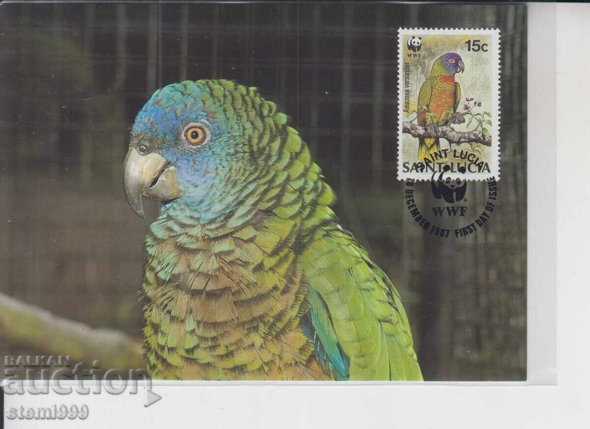 Carte poștală maximă PĂSĂRI PAPAGALI WWF Carte poștală maximă PĂSĂRI PAPAGALI WWF