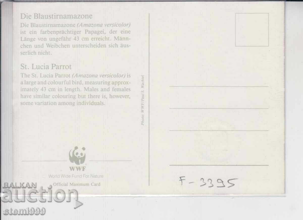 Carte poștală maximă PĂSĂRI PAPAGALI WWF cu preț 1.50 BGN | € 0.77 Carte poștală maximă PĂSĂRI PAPAGALI WWF cu preț 1.50 BGN | € 0.77