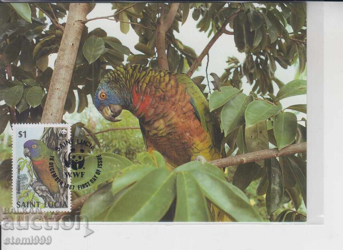 Carte poștală maximă PĂSĂRI PAPAGALI WWF Carte poștală maximă PĂSĂRI PAPAGALI WWF