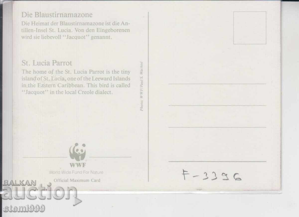 Carte poștală maximă PĂSĂRI PAPAGALI WWF cu preț 1.50 BGN | € 0.77