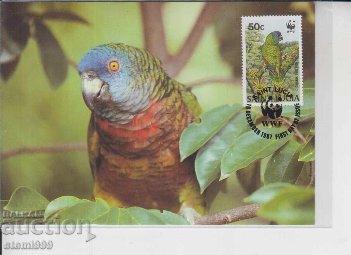 Carte poștală maximă PĂSĂRI PAPAGALI WWF