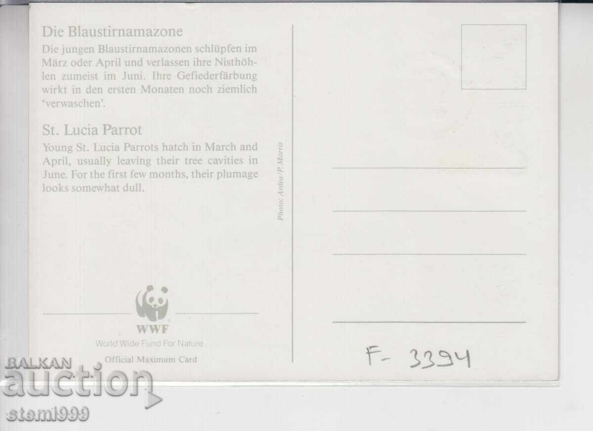Carte poștală maximă PĂSĂRI PAPAGALI WWF cu preț 1.50 BGN | € 0.77 Carte poștală maximă PĂSĂRI PAPAGALI WWF cu preț 1.50 BGN | € 0.77