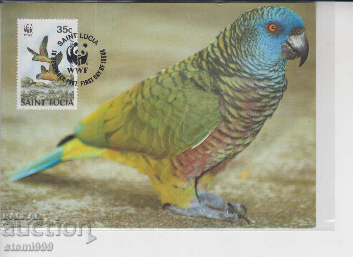 Carte poștală maximă PĂSĂRI PAPAGALI WWF Carte poștală maximă PĂSĂRI PAPAGALI WWF