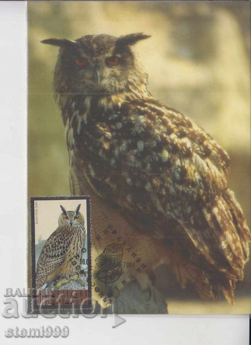 Μέγιστη καρτ ποστάλ ΝΥΧΤΕΡΙΝΑ ΑΡΠΑΚΤΙΚΑ ΠΟΥΛΙΑ