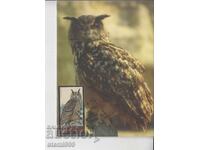 Μέγιστη καρτ ποστάλ ΝΥΧΤΕΡΙΝΑ ΑΡΠΑΚΤΙΚΑ ΠΟΥΛΙΑ