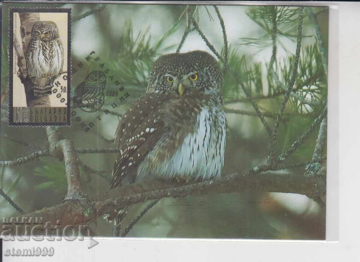 Μέγιστη καρτ ποστάλ ΝΥΧΤΕΡΙΝΑ ΑΡΠΑΚΤΙΚΑ ΠΟΥΛΙΑ