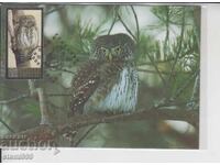 Μέγιστη καρτ ποστάλ ΝΥΧΤΕΡΙΝΑ ΑΡΠΑΚΤΙΚΑ ΠΟΥΛΙΑ