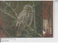 Μέγιστη καρτ ποστάλ ΝΥΧΤΕΡΙΝΑ ΑΡΠΑΚΤΙΚΑ ΠΟΥΛΙΑ