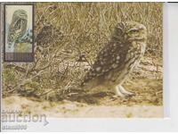 Μέγιστη καρτ ποστάλ ΝΥΧΤΕΡΙΝΑ ΑΡΠΑΚΤΙΚΑ ΠΟΥΛΙΑ