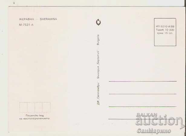 Κάρτα Βουλγαρίας Ζεράβνα 1* με τιμή 0.80 BGN | € 0.41