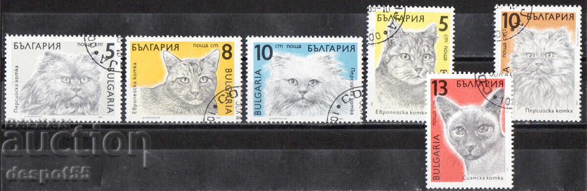 1989. Βουλγαρία. Κανονικά - γάτες