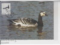 First Day Cover FDC BIRDS