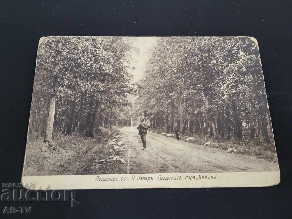 Χαιρετισμός από το O. Παζάρ, βουνό Γιάικιν 1900
