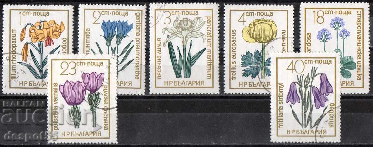 1972. Bulgaria. Flora 1972. Bulgaria. Flora