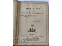 English Bible