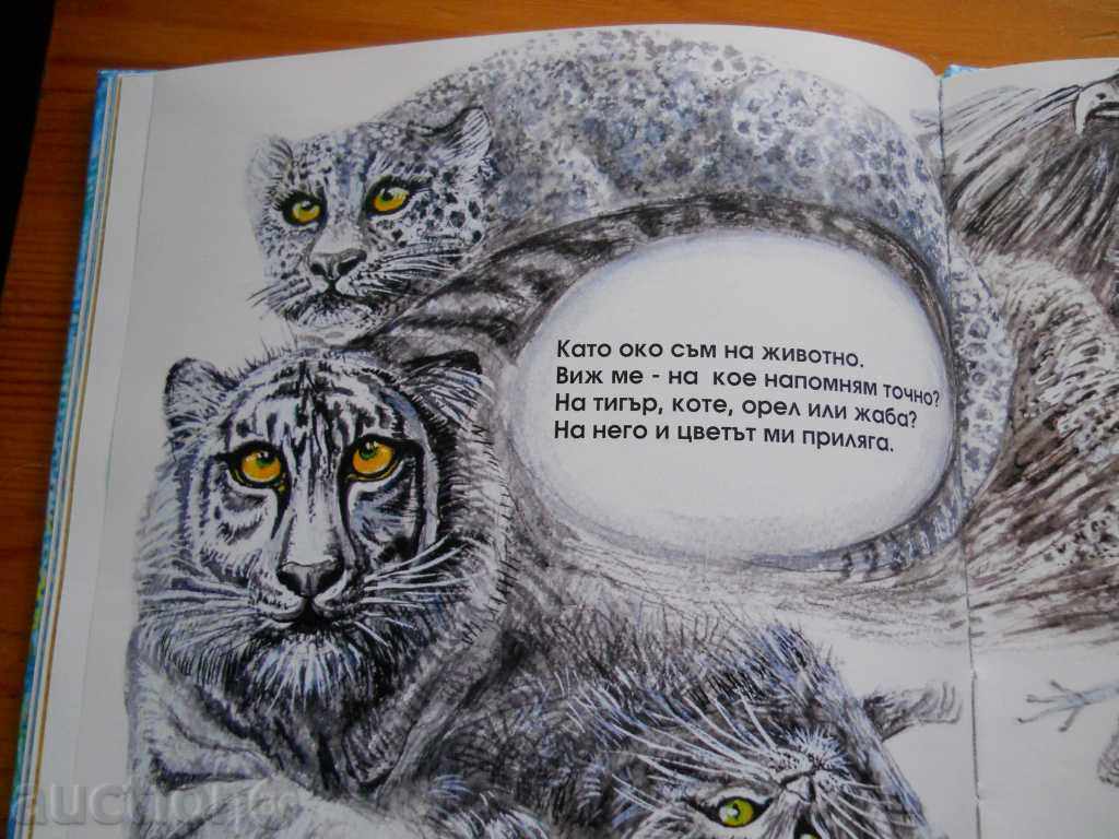 Delivery of Stella Todorova "Crystal Book"