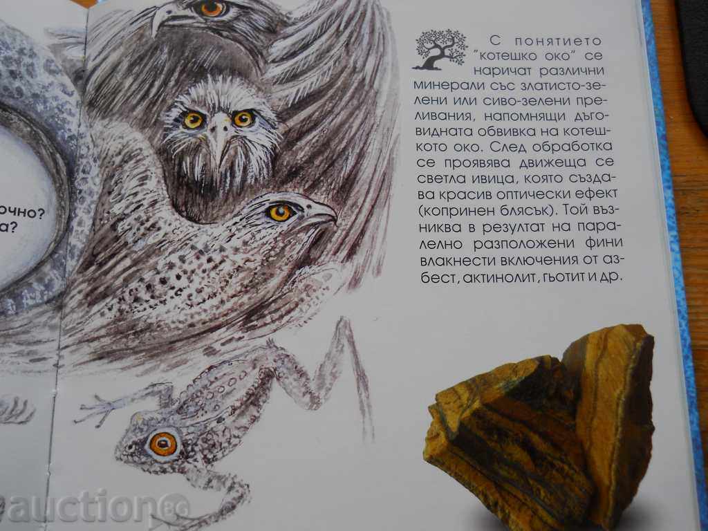 Stella Todorova "Crystal Book" - 5