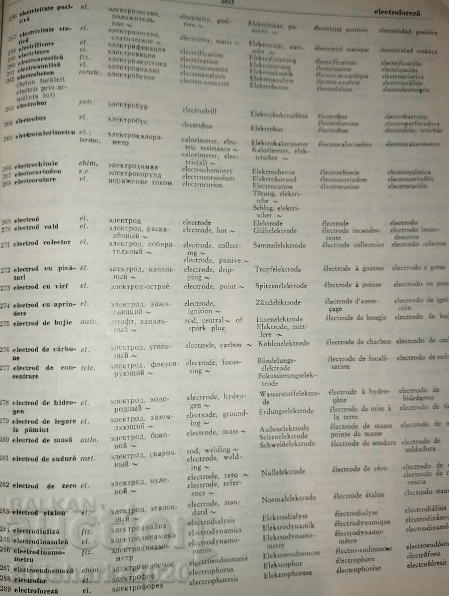 Auction  Polyglot Technical Dictionary
