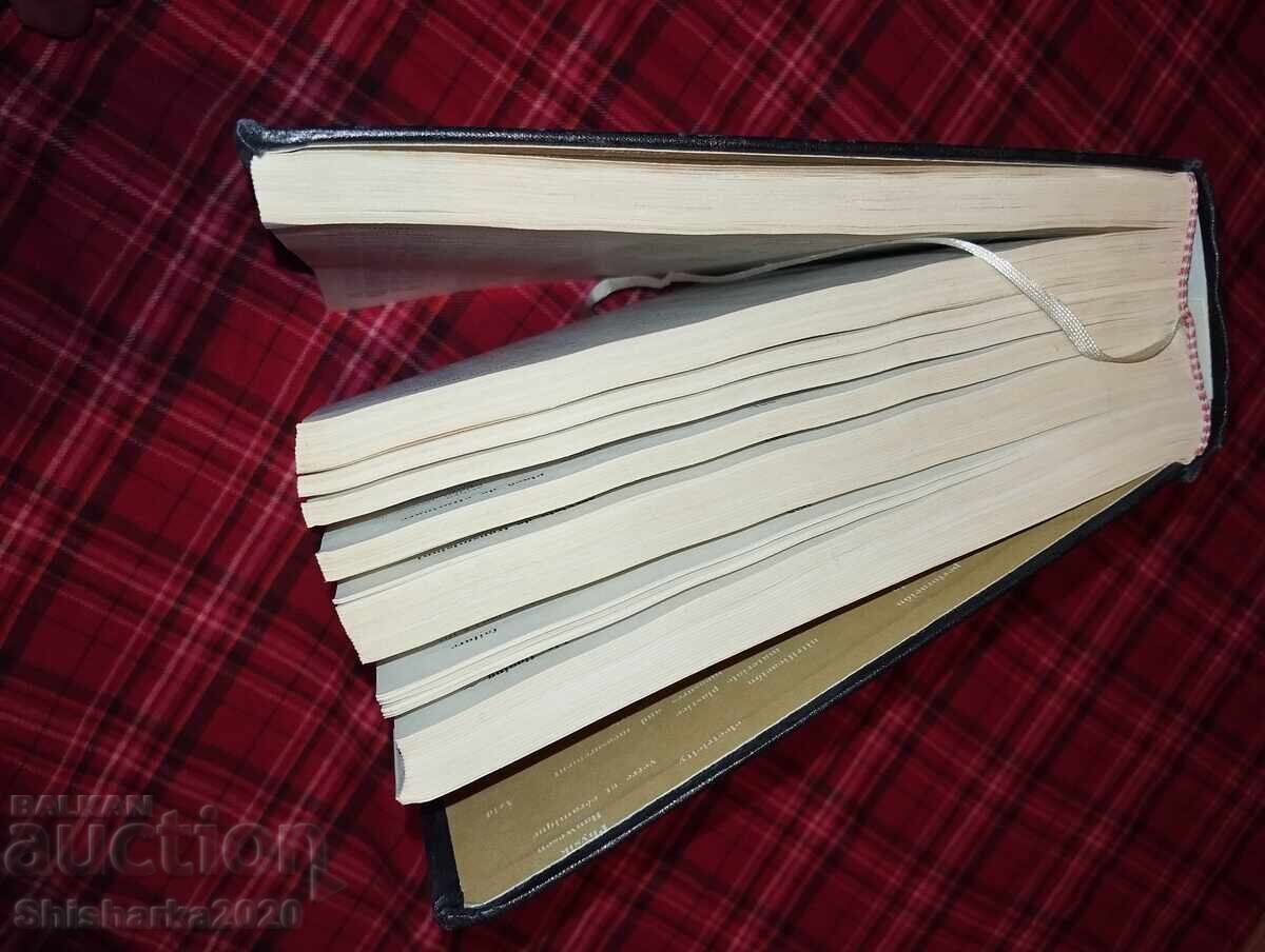 Delivery of Polyglot Technical Dictionary