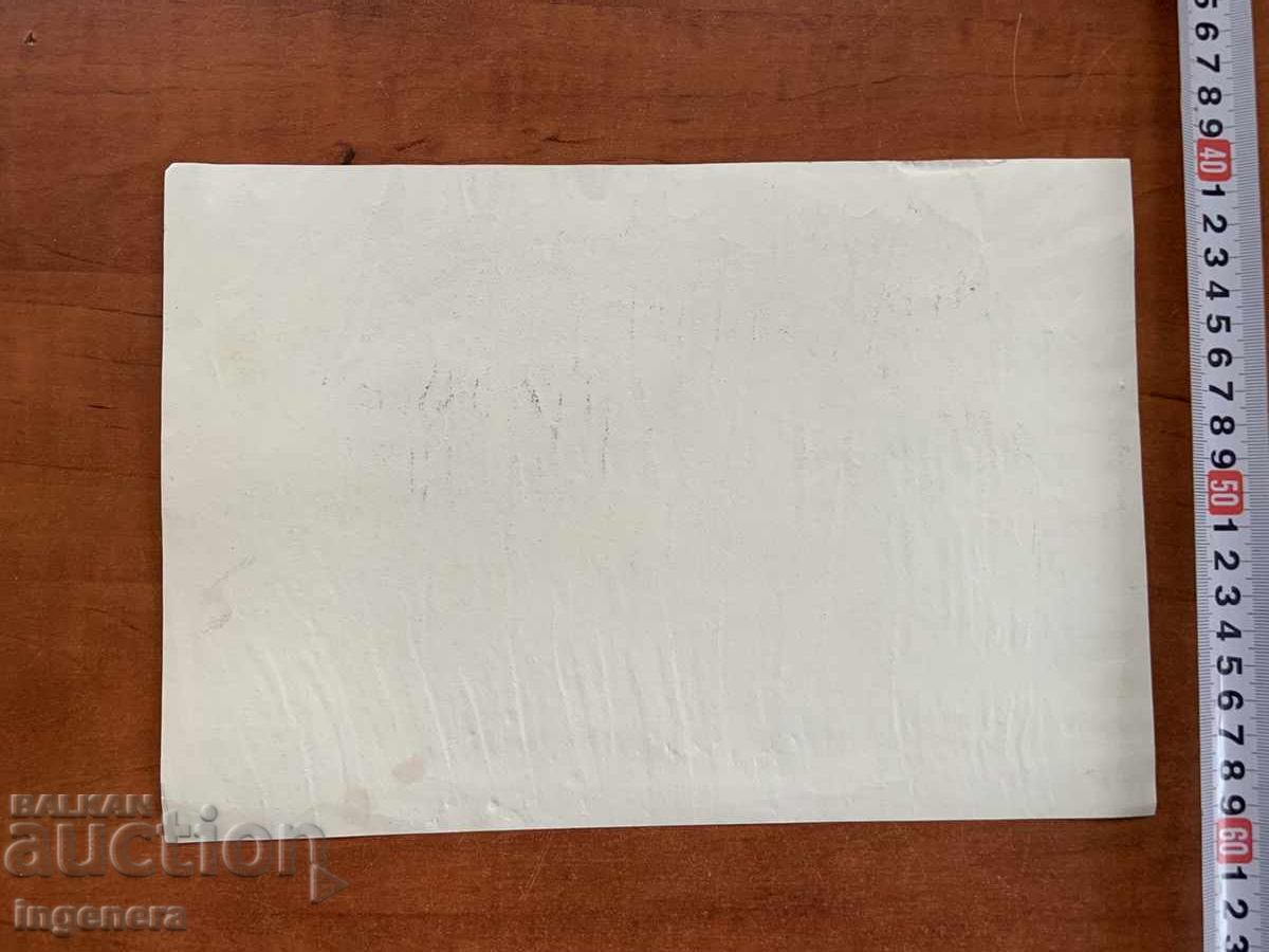 Delivery of PAINTING POSTER REPRODUCTION PAPER K. SHTURKELOV FROM TSARSKO