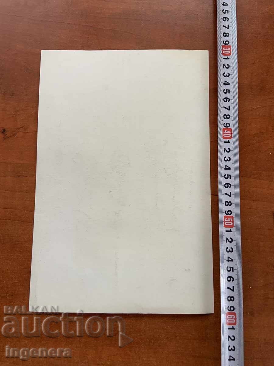 Доставка на РИСУНКА ВЪГЛЕН ГРАФИТ ГРАФИКА КАРТИНА ПОРТРЕТ КАРТОН