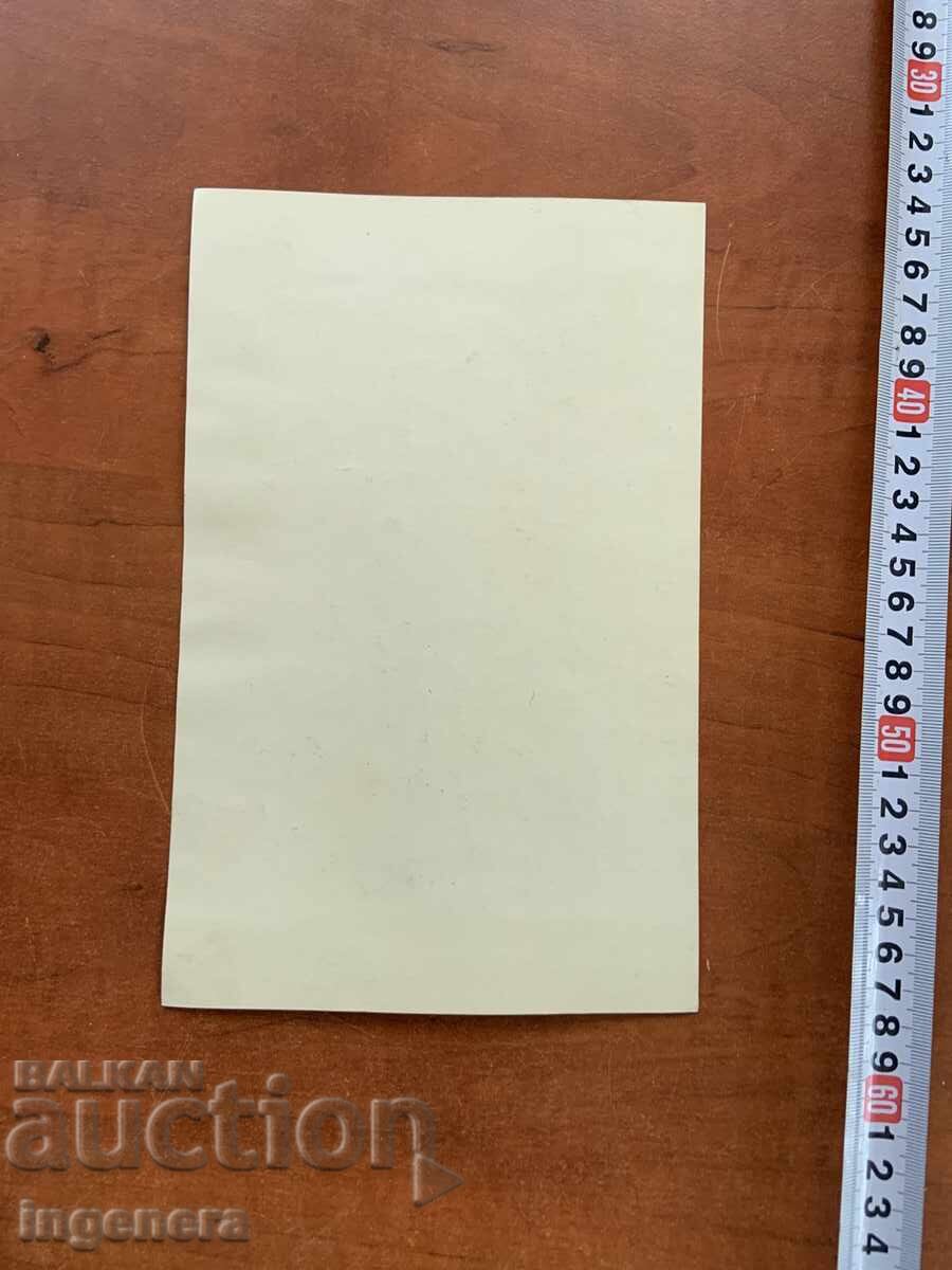 Delivery of PORTRAIT PHOTO