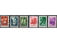 1958. Bulgaria. Vegetables.